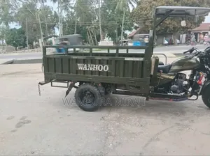 New Bajaj Avenger 200 2025 Green