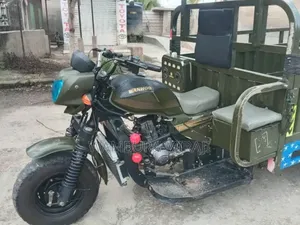 New Bajaj Avenger 200 2025 Green