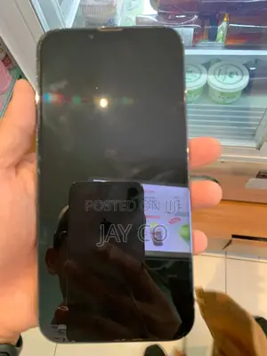 Apple iPhone 13 Pro Max 256 GB Gray