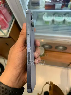 Apple iPhone 13 Pro Max 256 GB Gray
