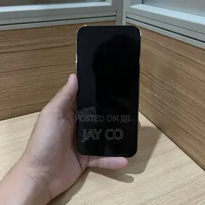 Apple iPhone 12 Pro Max 128 GB Gray