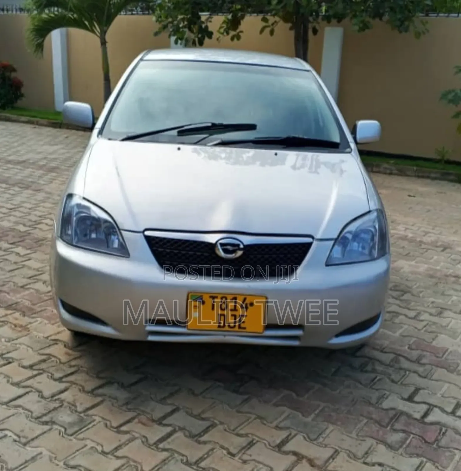 Toyota Allex 2003 Silver