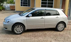 Toyota Allex 2003 Silver