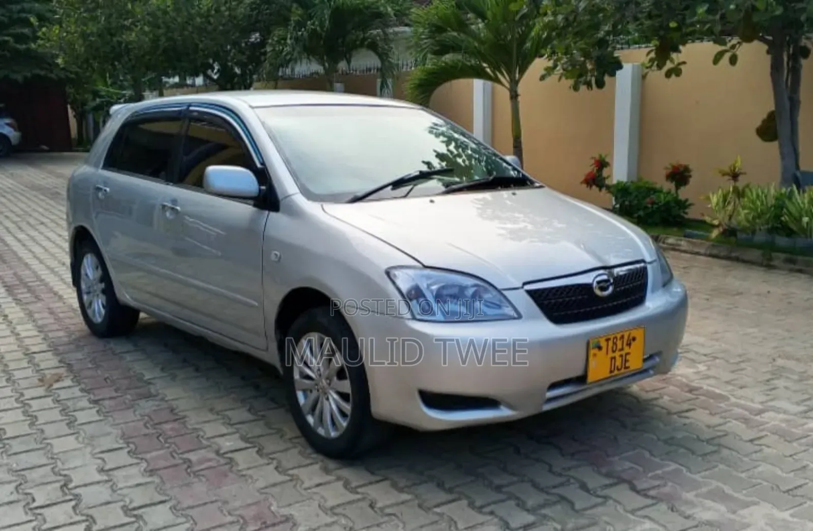Toyota Allex 2003 Silver