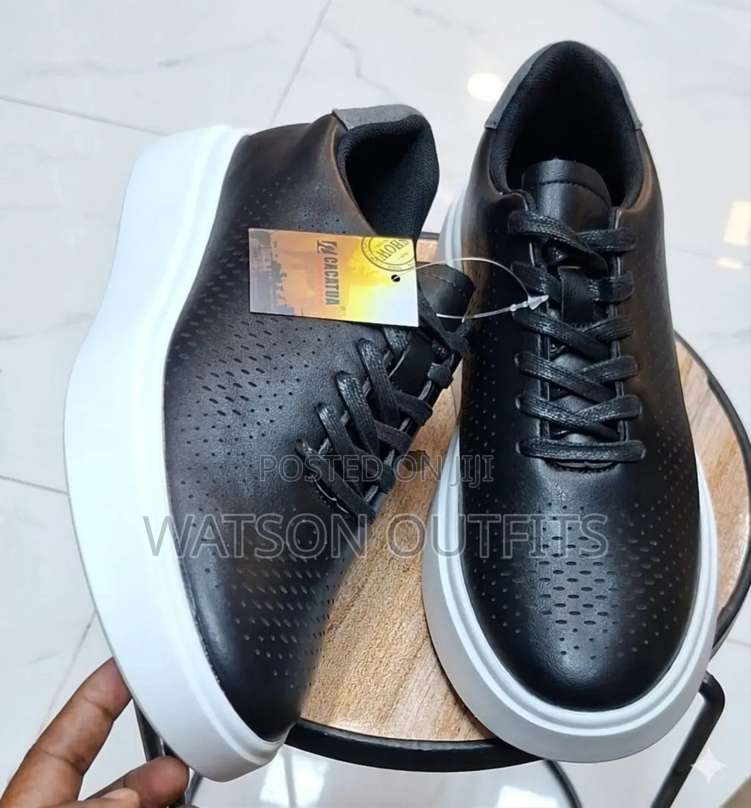 New Cacatua Brand Men's Original Leather Shoes or Sneakers