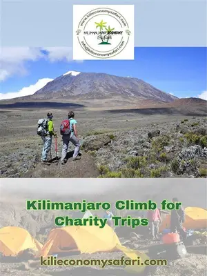 Kilimanjaro Climb for Charity Trips – Make Your Journey Meaningful