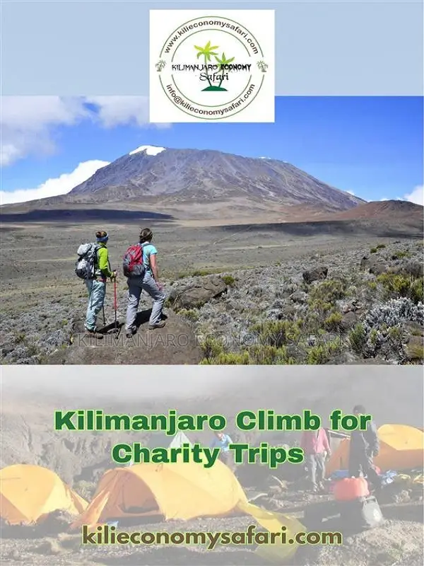 Kilimanjaro Climb for Charity Trips – Make Your Journey Meaningful
