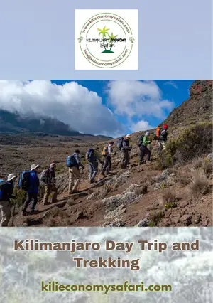 Kilimanjaro Day Trip and Trekking – Affordable Adventure Awaits