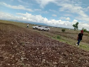 Wauzaji Wa Viwanja Kilimanjaro,Boman'gombe