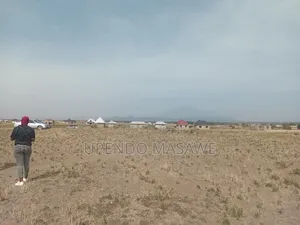 Wauzaji Wa Viwanja Kilimanjaro,Boman'gombe