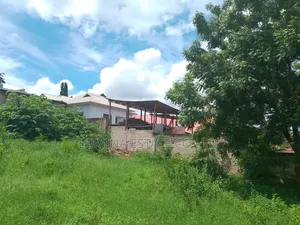 Kiwanja SQM 800 Goba Kwa Robert