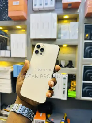Apple iPhone 12 Pro Max 512 GB Silver