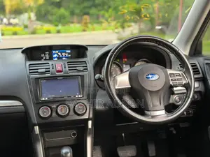 Subaru Forester 2013 Gray