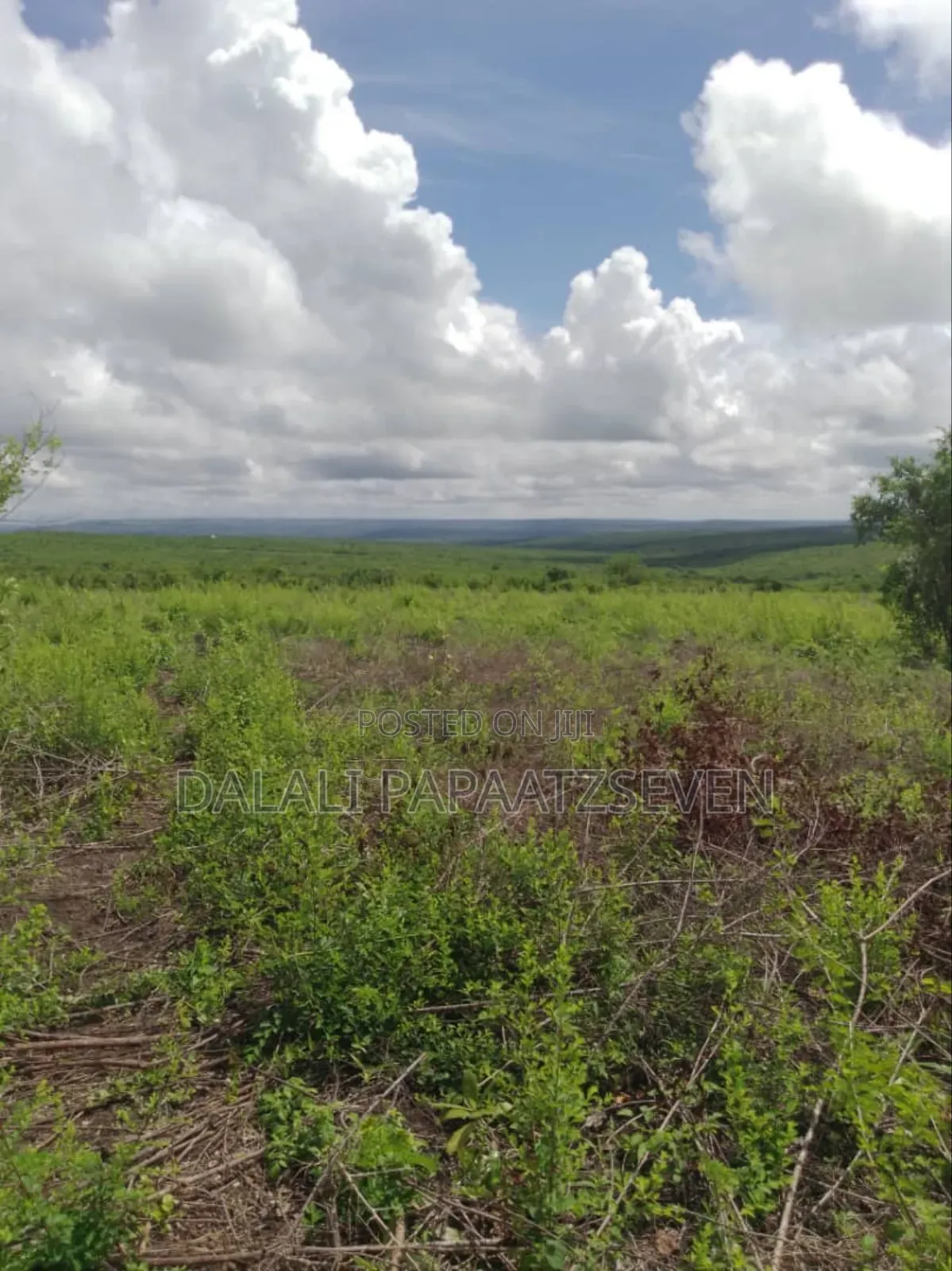 Shamba Ambalo Lipo Kalibu Na Mto Linauzwa Lipo Kiwangwa Lina Heka 50