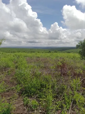 Shamba Ambalo Lipo Kalibu Na Mto Linauzwa Lipo Kiwangwa Lina Heka 50