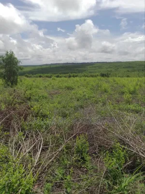 Shamba Ambalo Lipo Kalibu Na Mto Linauzwa Lipo Kiwangwa Lina Heka 50