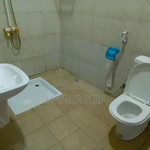 Furnished 2bdrm House in Mikocheni for rent
