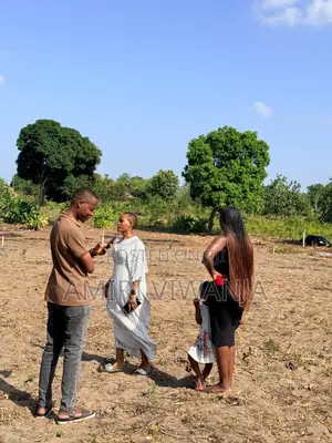 Viwanja Bagamoyo Kerege Vipo Km2 Kutoka Bagamoyo Road
