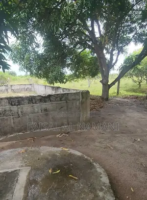 Shamba Linauzwa Mkuranga