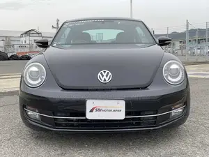 Volkswagen Beetle 2013 Purple