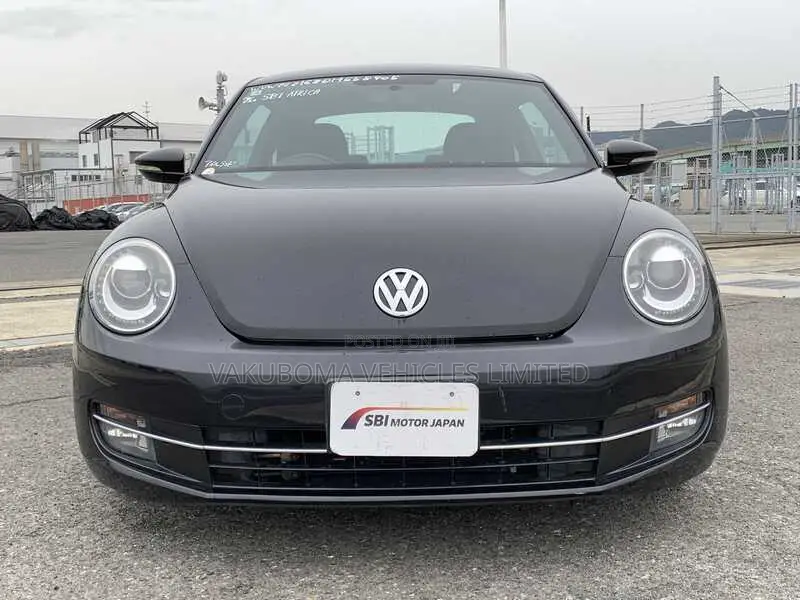 Volkswagen Beetle 2013 Purple