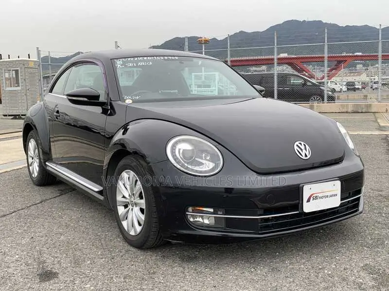 Volkswagen Beetle 2013 Purple