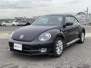 Volkswagen Beetle 2013 Purple