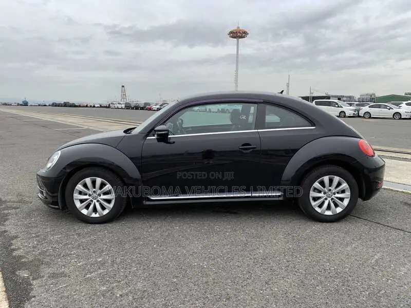 Volkswagen Beetle 2013 Purple