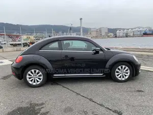 Volkswagen Beetle 2013 Purple