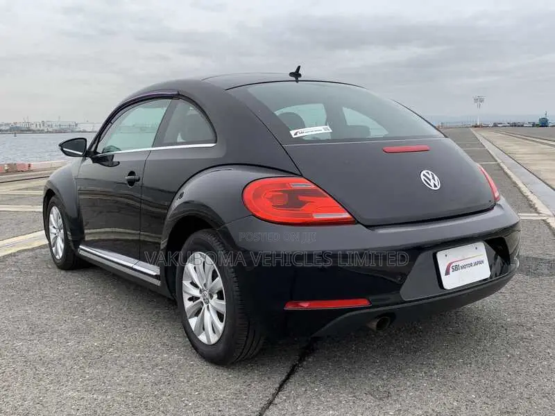 Volkswagen Beetle 2013 Purple