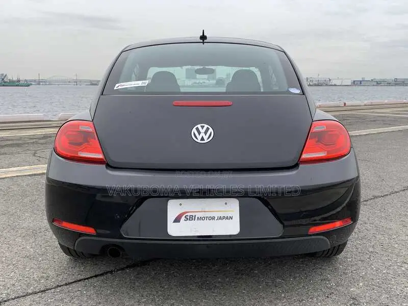 Volkswagen Beetle 2013 Purple