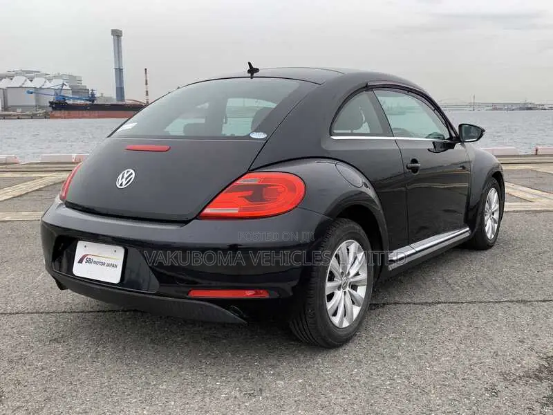 Volkswagen Beetle 2013 Purple