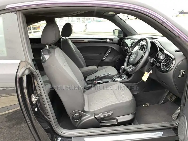 Volkswagen Beetle 2013 Purple