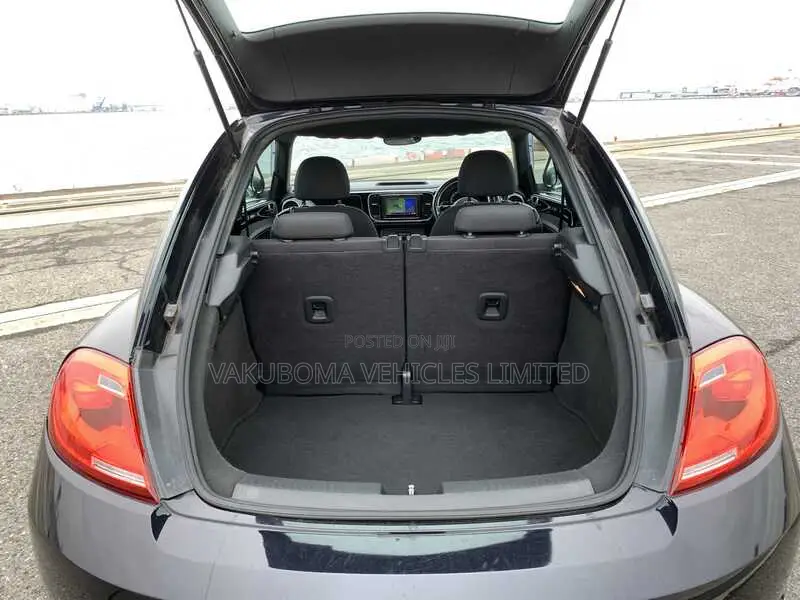 Volkswagen Beetle 2013 Purple
