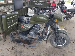 New Bajaj Avenger 200 2025 Green