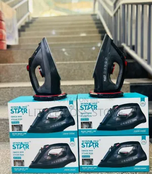 Wining Star Steam Iron