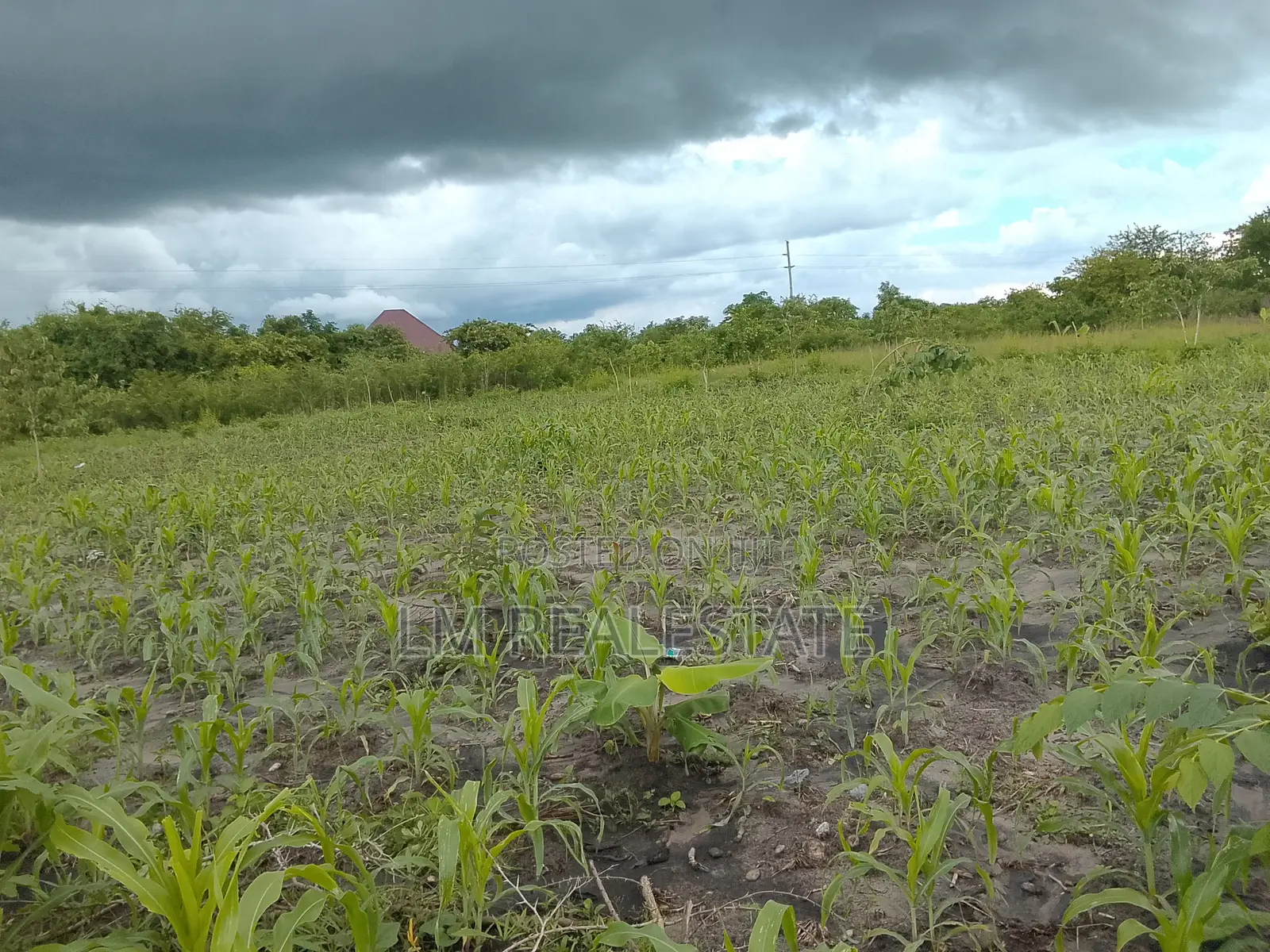 Shamba La Ekari 10 Linauzwa Mzenga-Kisarawe Pwani