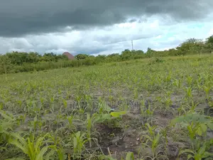 Shamba La Ekari 10 Linauzwa Mzenga-Kisarawe Pwani