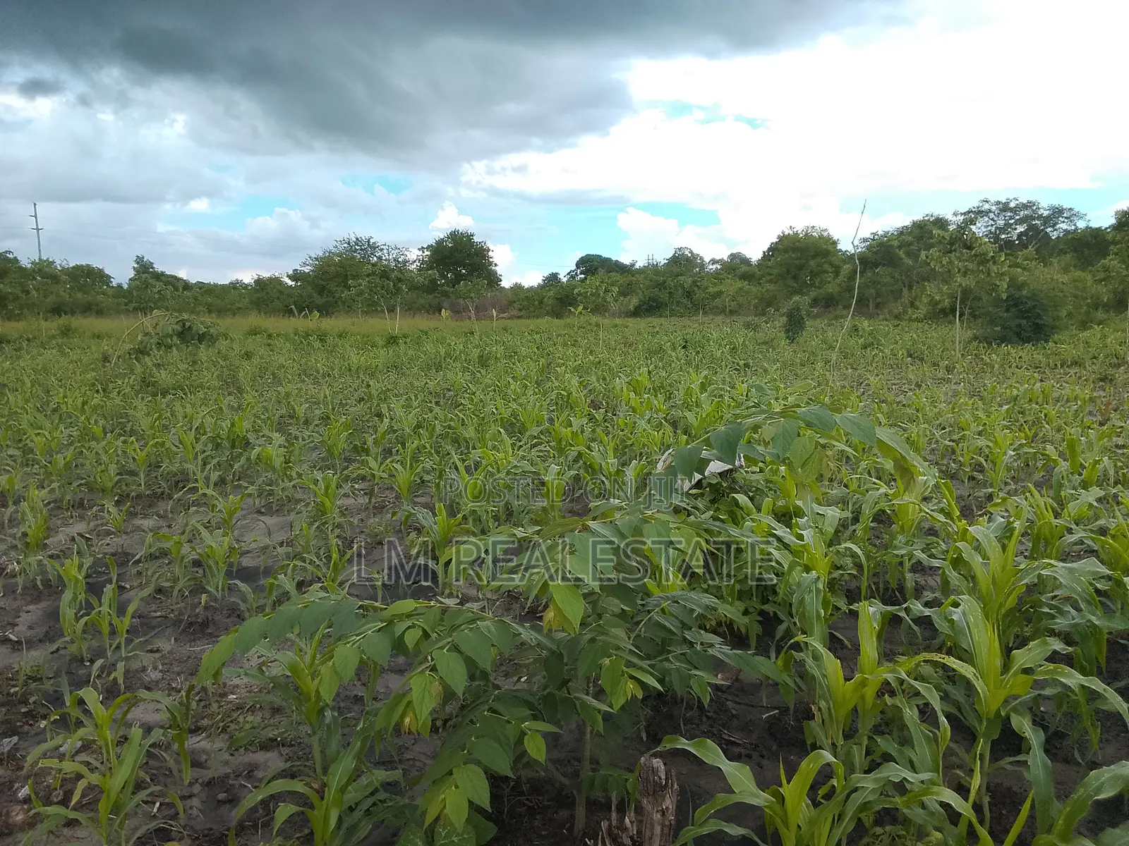Shamba La Ekari 10 Linauzwa Mzenga-Kisarawe Pwani