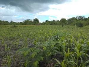 Shamba La Ekari 10 Linauzwa Mzenga-Kisarawe Pwani