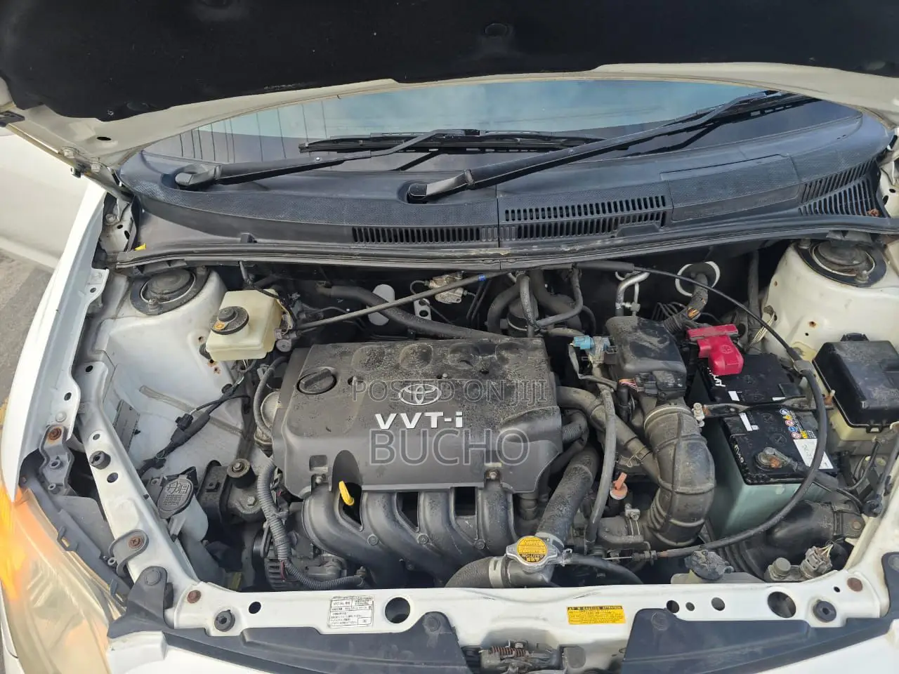 Toyota IST 2004 White