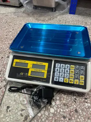 Price Computing Digital Scale Ce 40kg