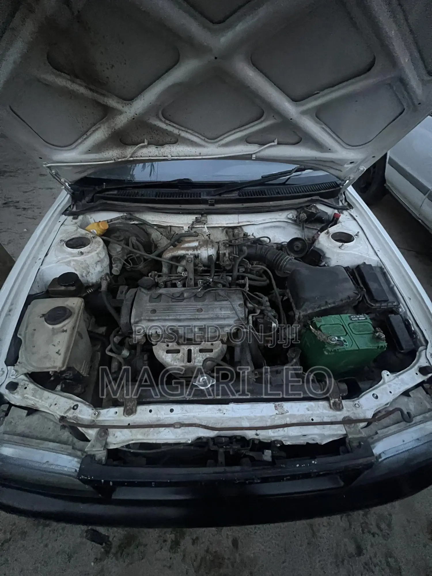 Toyota Corolla 2000 White