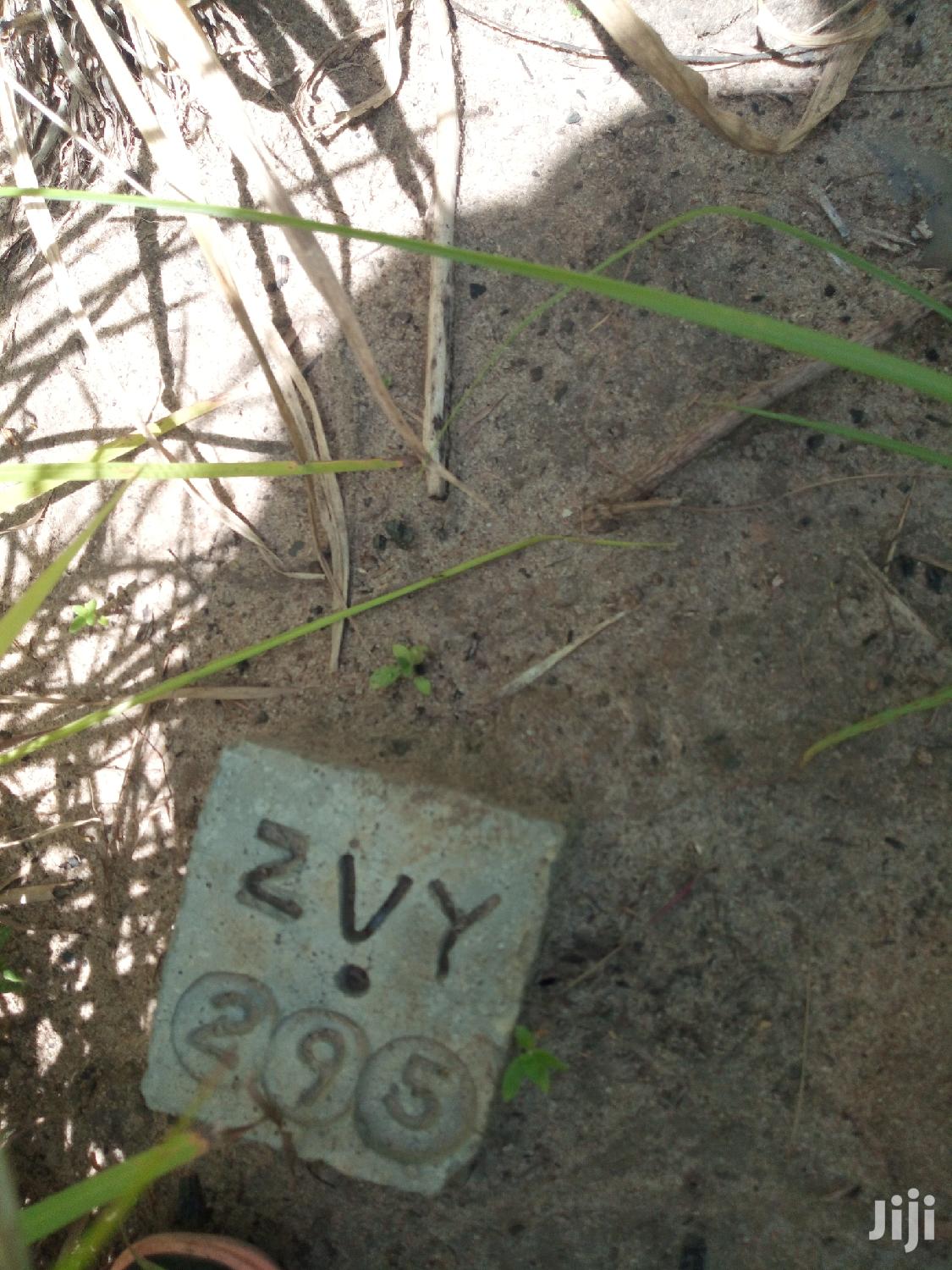 Plot For Sale