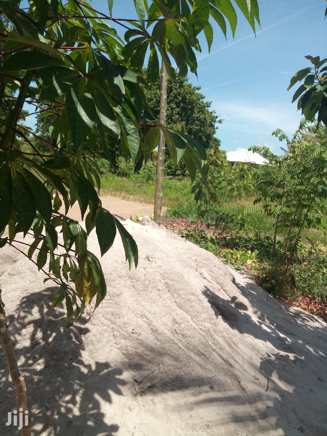 Plot For Sale