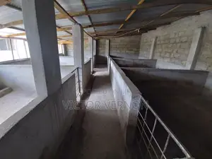 Tunakodisha Mabanda Na Eneo Lote Kwa Ajili Ya Ufugaji Na Shughuli ZZT