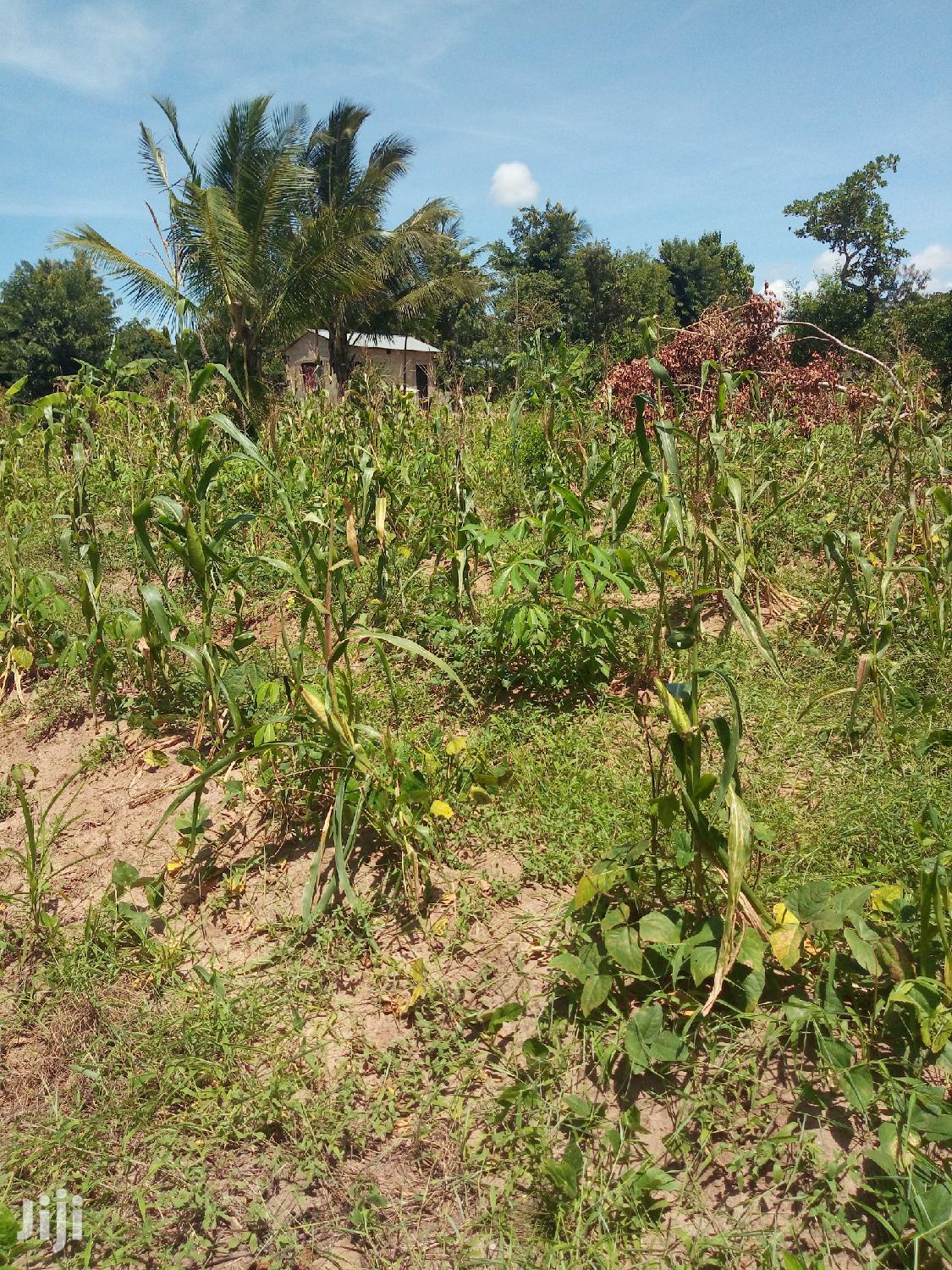 Plot For Sale