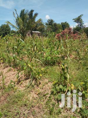 Plot For Sale