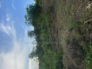 Plot for Sale Mikwambe Kigamboni