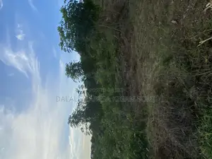 Plot for Sale Mikwambe Kigamboni